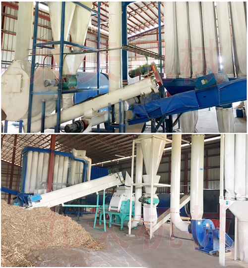 菲律賓象草烘干機